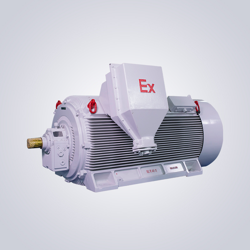 Y2W高壓無火花型三相異步電機